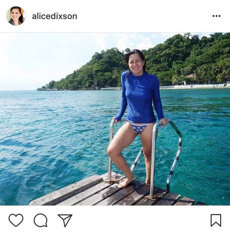 Wow! Alice Dixson still sexy at 48 in these bikini photos | ABS-CBN ...