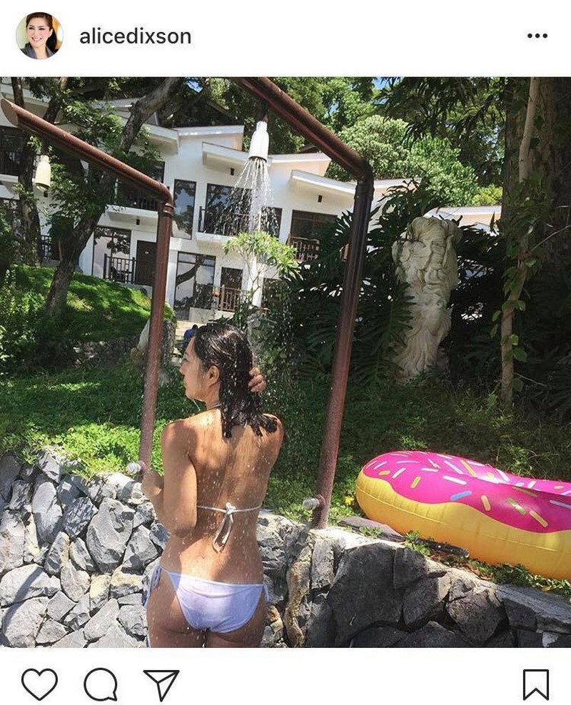 Wow! Alice Dixson still sexy at 48 in these bikini photos | ABS-CBN  Entertainment